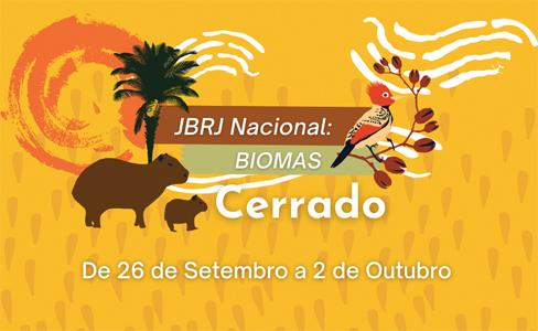 Jogo dos Biomas Gastronômicos - Museu do Cerrado